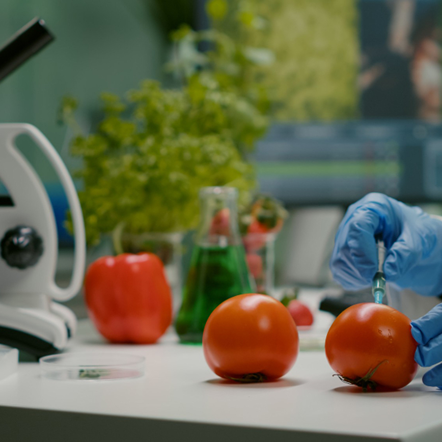 Degree courses in Rajakkad | SSM College Programs